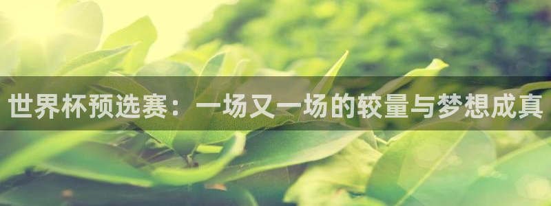 世界杯比赛赛程:世界杯预选赛:一场又一场的较量与梦想成真