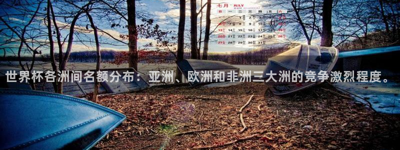 世界杯球赛:世界杯各洲间名额分布:亚洲、欧洲和非洲三大洲的竞争激烈程度。