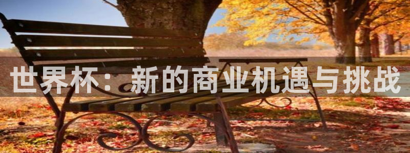 世界杯预选赛2026:世界杯:新的商业机遇与挑战