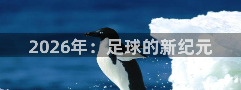 世界杯预赛赛程:2026年:足球的新纪元