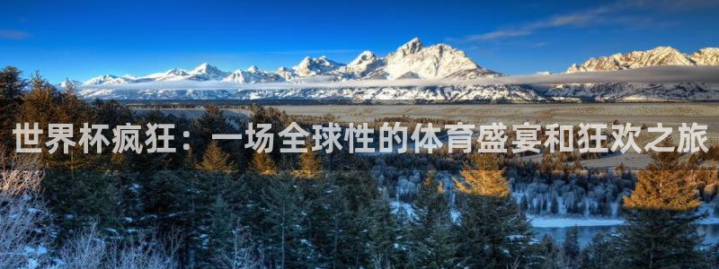 2026年世界杯时间表:世界杯疯狂:一场全球性的体育盛宴和狂欢之旅