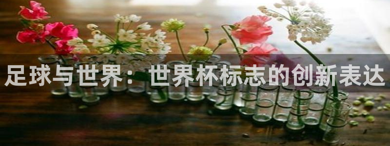 2026年世界杯对阵图:足球与世界:世界杯标志的创新表达